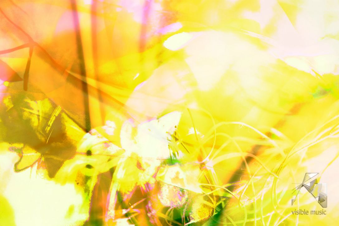 lichtkern_7674_0024