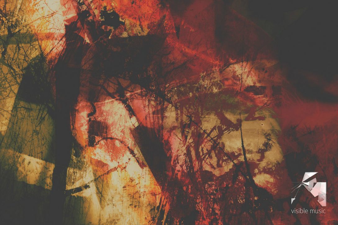 magic_wood_6474_0846